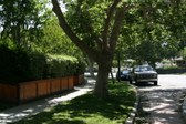 Enlarge photo 52