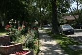 Enlarge photo 59