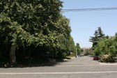 Enlarge photo 65