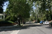 Enlarge photo 68