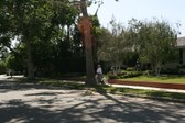 Enlarge photo 76