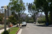 Enlarge photo 37