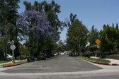 Enlarge photo 39