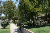 Enlarge photo 42