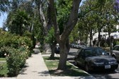 Enlarge photo 43