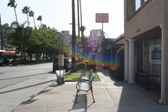 Enlarge photo 33
