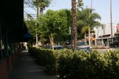 Enlarge photo 38