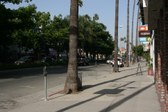 Enlarge photo 51