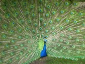 La Arboretum