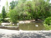 Enlarge photo 21