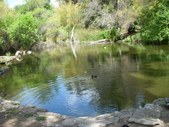 Enlarge photo 23