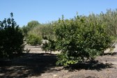 Enlarge photo 39