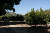 Enlarge photo 40