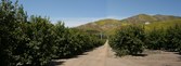 Enlarge photo 17