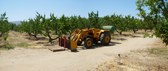 Youngblood Farms