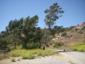 Enlarge photo 7