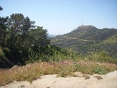 Cedar Grove