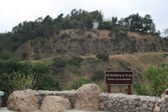 Enlarge photo 36