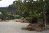 Enlarge photo 45
