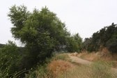 Enlarge photo 27