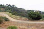 Enlarge photo 41