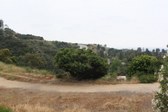 Enlarge photo 42