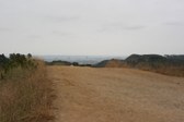 Enlarge photo 45