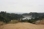Enlarge photo 46