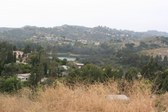 Enlarge photo 49