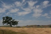Upper Las Virgenes Canyon Preserve