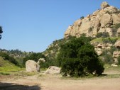 Enlarge photo 14
