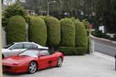 Enlarge photo 18