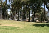 Enlarge photo 28