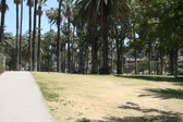 Enlarge photo 29
