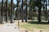 Enlarge photo 34