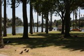 Enlarge photo 40