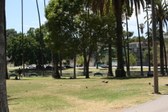 Enlarge photo 41