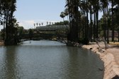Enlarge photo 46