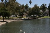 Enlarge photo 47