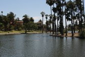 Enlarge photo 49