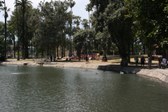 Enlarge photo 51