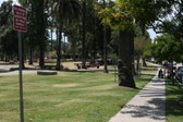 Enlarge photo 55