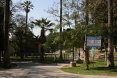 MacArthur Park