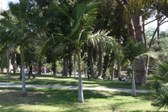 Enlarge photo 29