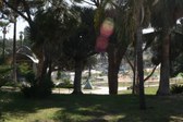 Enlarge photo 30