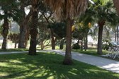 Enlarge photo 35
