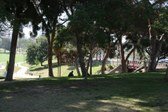 Enlarge photo 38
