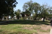 Enlarge photo 40