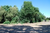 Enlarge photo 40