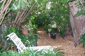 Enlarge photo 3